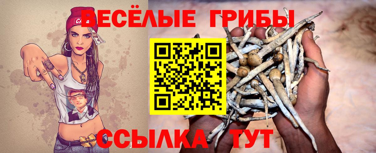 Галлюциногенные грибы Psilocybe Симферополь