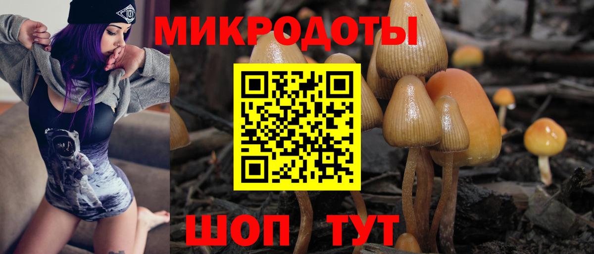 Симферополь  Псилоцибиновые грибы прущие грибы  Вход с VPN 